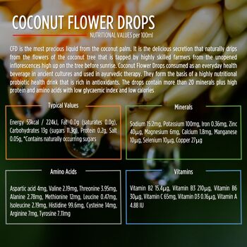 Bière artisanale à la fleur de noix de coco | NINKASI - Lager sucrée | ABV1.5% - 330ml 6