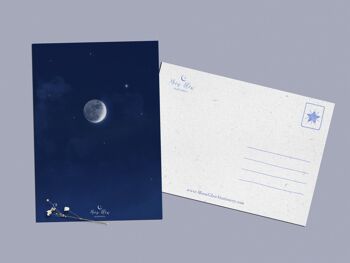 Collection de cartes postales du croissant de lune 3