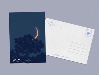 Collection de cartes postales du croissant de lune 4