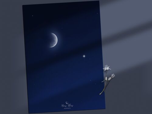 Individual 1 - Moon Postcard