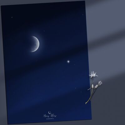 Individual 1 - Moon Postcard