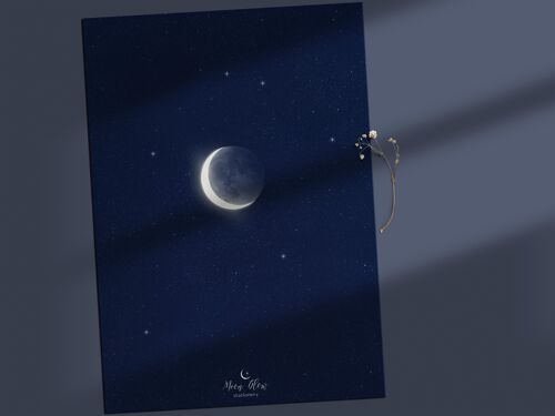 Individual 2 - Moon Postcard