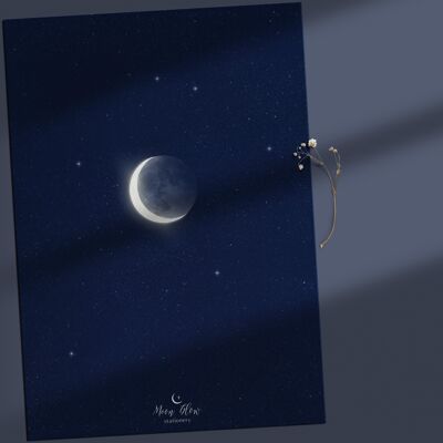 Individuale 2 - Cartolina Luna