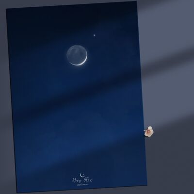 Individual 4 - Moon Postcard