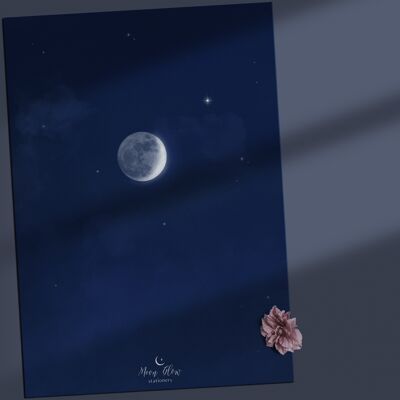 Individual 5 - Moon Postcard