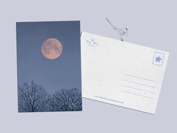 Collection de cartes postales Rêves au clair de lune 3