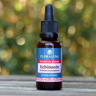 Echinacea-Extrakt 50 ml