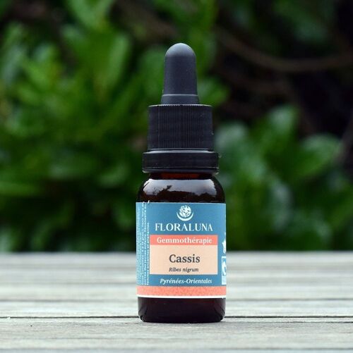 Cassis - Gemmothérapie bio - 15 mL