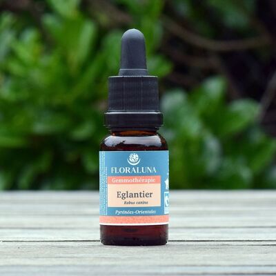 Rosa canina - Gemmoterapia organica - 15 ml