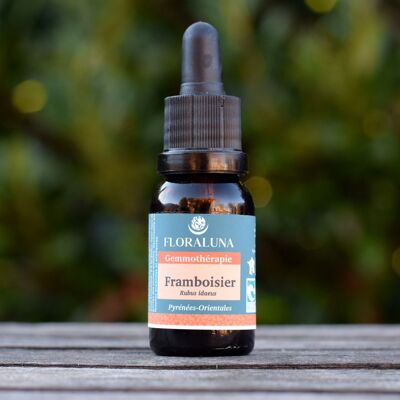 Lampone - Gemmoterapia organica - 15 ml