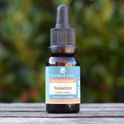 Hazel - Gemmoterapia organica - 15 ml