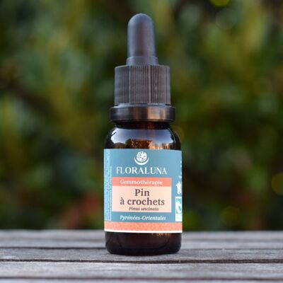 Pine - Organic gemmotherapy - 15 mL