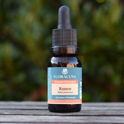 Bramble - Organic gemmotherapy - 15 mL