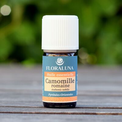 Roman chamomile - Organic essential oil - 5 mL