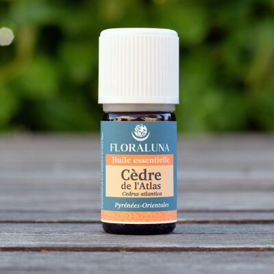 Cedro dell'Atlante - Olio essenziale biologico - 5 ml