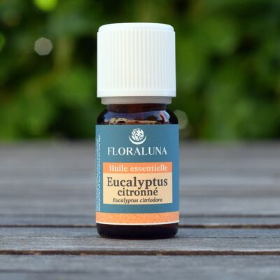 Zitronen-Eukalyptus - Biologisches ätherisches Öl - 10 ml
