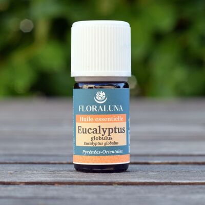 Eucalyptus globulus - Aceite esencial orgánico - 30 mL