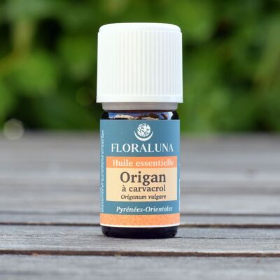 Common oregano - Organic essential oil - 5 mL