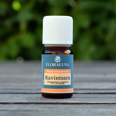 Ravintsara - Aceite esencial orgánico - 10 mL