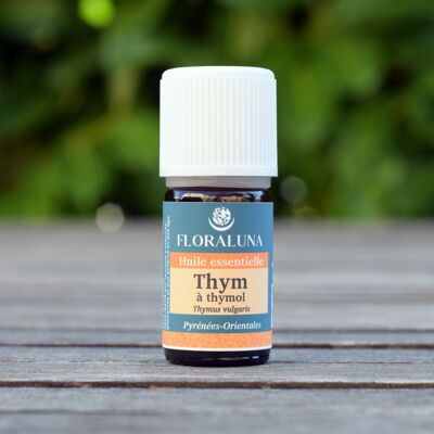 Thyme with thymol - Organic essential oil - 10 mL