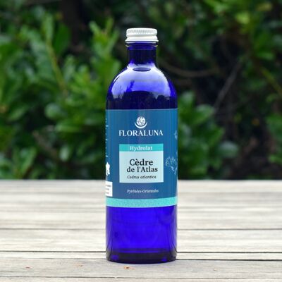 Cedro dell'Atlante - Idrolato biologico - 200 ml