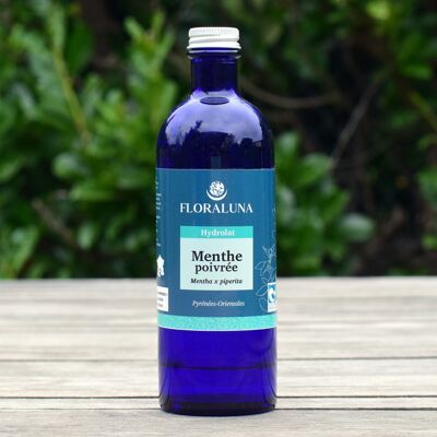 Menta - Hidrosol orgánico - 200 mL