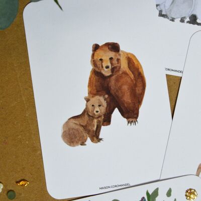 Postcard teddy bear