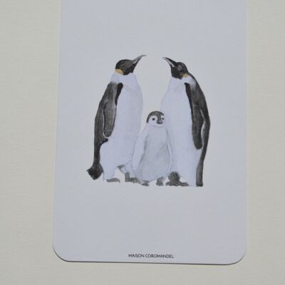 Carte postale famille pingouins