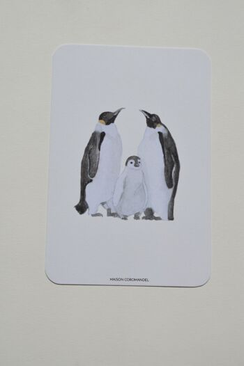 Carte postale famille pingouins 1