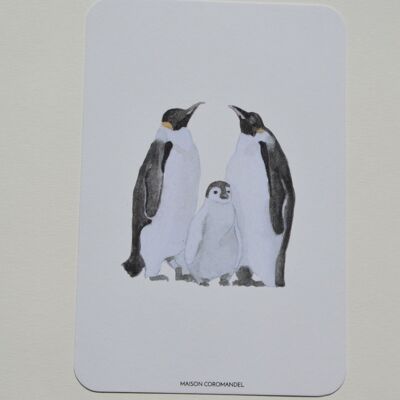 Postal de familia de pingüinos