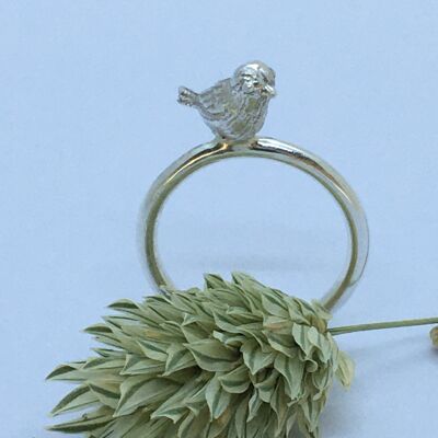 Anillo Birdy - Plata