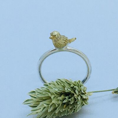 Anello Birdy -argento / ottone