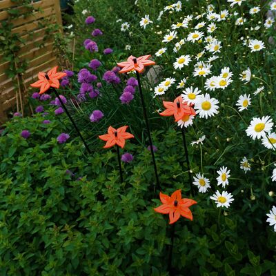 Lot de 5 décorations de jardin moyennes 'Lotus'