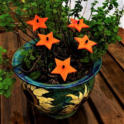 Juego de 5 adornos de decoración de jardín pequeños 'Estrellas'