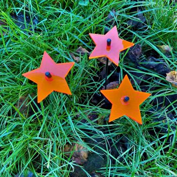 Set de 3 petites décorations de jardin 'Shining Stars' 4