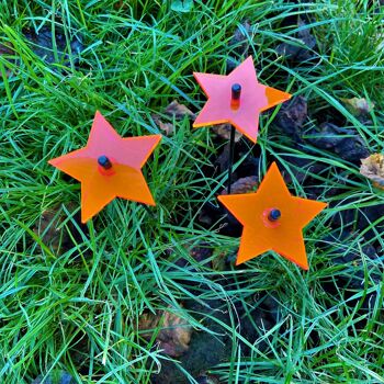 Set de 3 petites décorations de jardin 'Shining Stars' 9