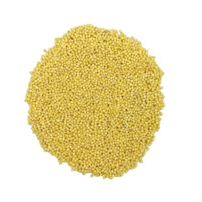 Organic hulled millet 10kg bag