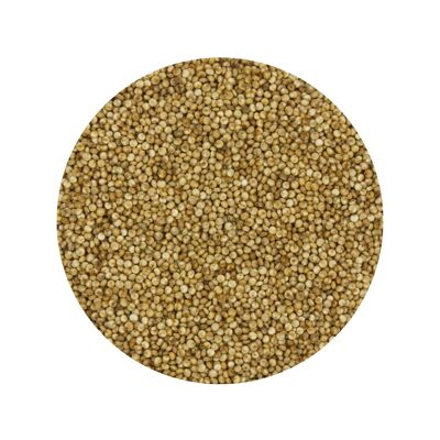 Quinoa biologica Busta 10kg