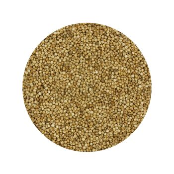 quinoa bio Sac 500g 2