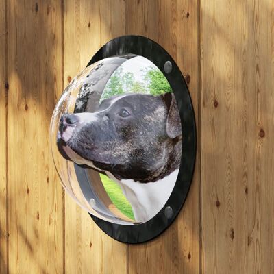 Gardenscout - The porthole made of acrylic with a 180° viewing angle | For fence or playhouse both indoor and outdoor | Dog or child suitable