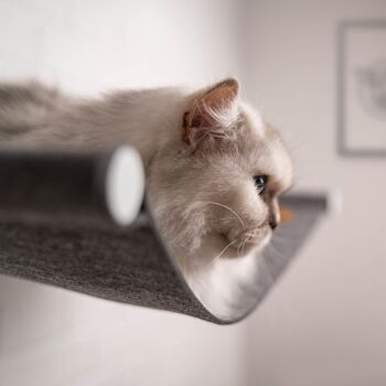 CozyCat - Le hamac pour chat en feutre | Le couchage spécial pour chats et matous ou chatons en 60x30cm jusqu'à 8kg gris anthracite | Couchette stable pour chat avec fixation murale 2