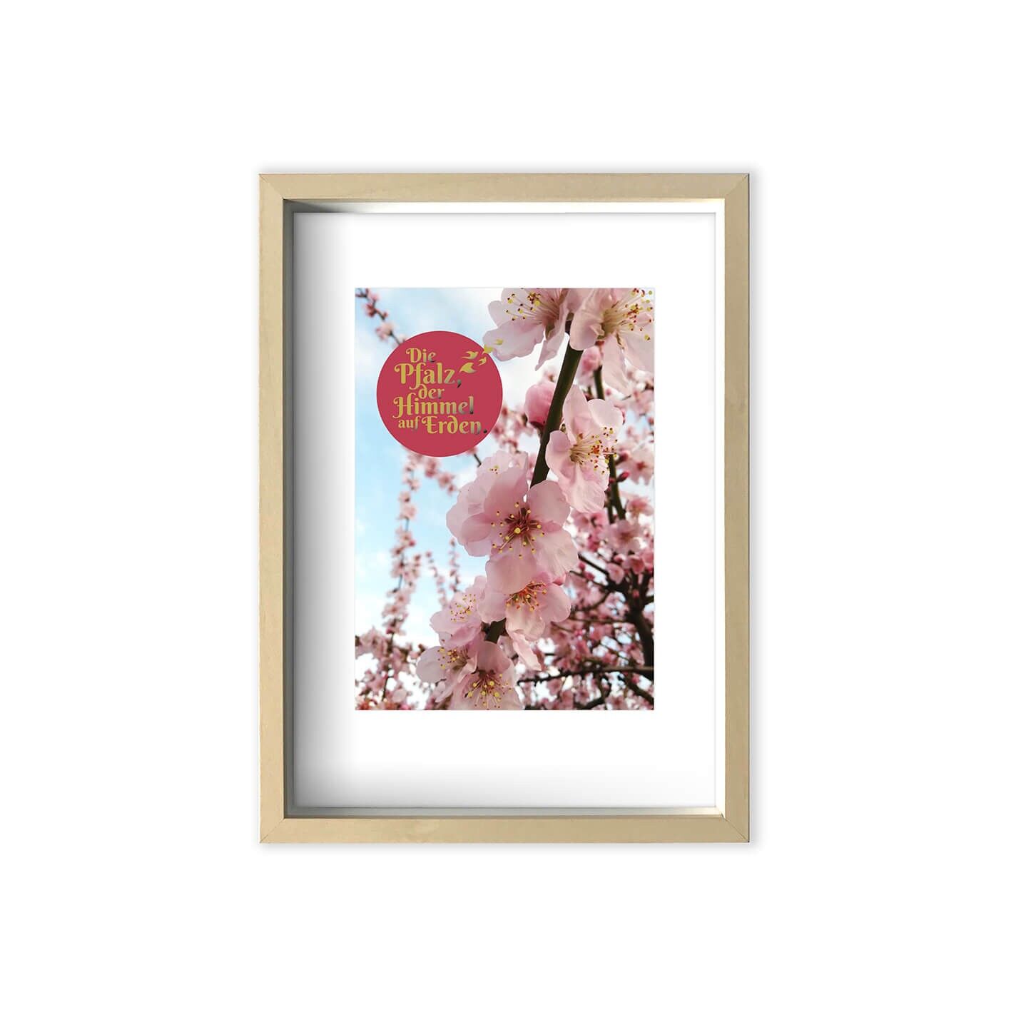 Die Pfalz der Himmel auf Erden | mit Rahmen