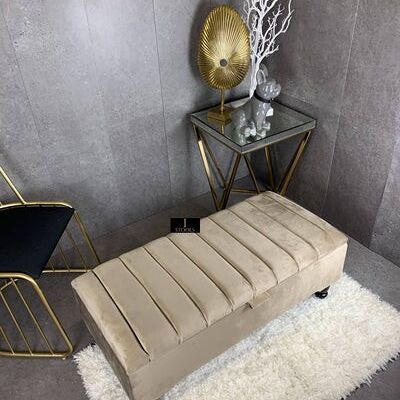 Champagne Beige storage box - Beige Standard legs 2 cushions with insert