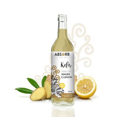 Absorb Kefir Ginger & Lemon - 330ml x12