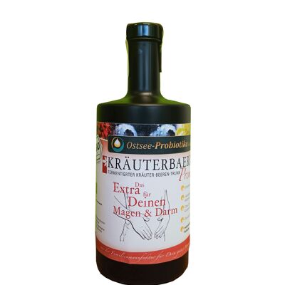 Bevanda fermentata biologica KRÄUTERBAERRY Premium 0,5l in una bottiglia di vetro nero