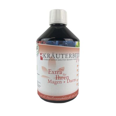 Bebida fermentada ecológica KRÄUTERBEER Premium 0,5l en med. Botella de PET