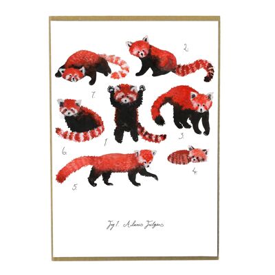 Confezione di stampa artistica di panda rossi