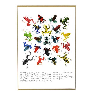 Dendrobatidae Dart Frog Art Print