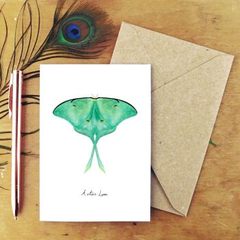 Carte de voeux lépidoptères Luna Moth 3