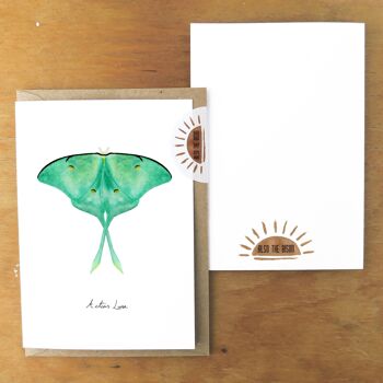 Carte de voeux lépidoptères Luna Moth 5